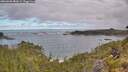 ./images/calvert/foggy-cove/20260606/foggy-cove20260606_081002M.jpg