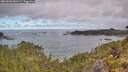 ./images/calvert/foggy-cove/20260606/foggy-cove20260606_081501M.jpg