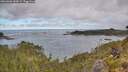 ./images/calvert/foggy-cove/20260606/foggy-cove20260606_082001M.jpg