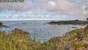 ./images/calvert/foggy-cove/20260606/foggy-cove20260606_082501M.jpg
