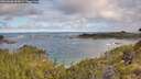 ./images/calvert/foggy-cove/20260606/foggy-cove20260606_083001M.jpg