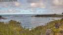 ./images/calvert/foggy-cove/20260606/foggy-cove20260606_084001M.jpg