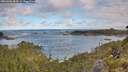 ./images/calvert/foggy-cove/20260606/foggy-cove20260606_084501M.jpg