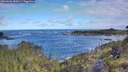 ./images/calvert/foggy-cove/20260606/foggy-cove20260606_085001M.jpg
