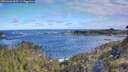 ./images/calvert/foggy-cove/20260606/foggy-cove20260606_085501M.jpg