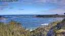 ./images/calvert/foggy-cove/20260606/foggy-cove20260606_090501M.jpg