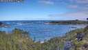 ./images/calvert/foggy-cove/20260606/foggy-cove20260606_091001M.jpg