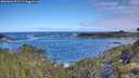 ./images/calvert/foggy-cove/20260606/foggy-cove20260606_091501M.jpg
