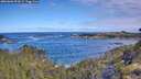 ./images/calvert/foggy-cove/20260606/foggy-cove20260606_092002M.jpg