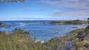 ./images/calvert/foggy-cove/20260606/foggy-cove20260606_092501M.jpg