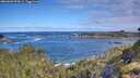 ./images/calvert/foggy-cove/20260606/foggy-cove20260606_093001M.jpg