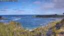./images/calvert/foggy-cove/20260606/foggy-cove20260606_094501M.jpg