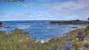 ./images/calvert/foggy-cove/20260606/foggy-cove20260606_095001M.jpg