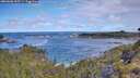 ./images/calvert/foggy-cove/20260606/foggy-cove20260606_095501M.jpg