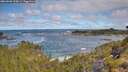 ./images/calvert/foggy-cove/20260606/foggy-cove20260606_100001M.jpg