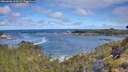./images/calvert/foggy-cove/20260606/foggy-cove20260606_100501M.jpg