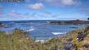 ./images/calvert/foggy-cove/20260606/foggy-cove20260606_101001M.jpg