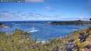 ./images/calvert/foggy-cove/20260606/foggy-cove20260606_101501M.jpg
