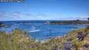 ./images/calvert/foggy-cove/20260606/foggy-cove20260606_102002M.jpg