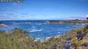 ./images/calvert/foggy-cove/20260606/foggy-cove20260606_102501M.jpg