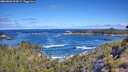 ./images/calvert/foggy-cove/20260606/foggy-cove20260606_103002M.jpg