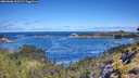 ./images/calvert/foggy-cove/20260606/foggy-cove20260606_103501M.jpg