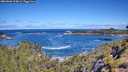 ./images/calvert/foggy-cove/20260606/foggy-cove20260606_104001M.jpg