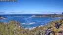 ./images/calvert/foggy-cove/20260606/foggy-cove20260606_104501M.jpg