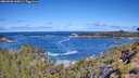 ./images/calvert/foggy-cove/20260606/foggy-cove20260606_105001M.jpg