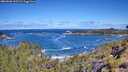 ./images/calvert/foggy-cove/20260606/foggy-cove20260606_105502M.jpg