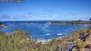 ./images/calvert/foggy-cove/20260606/foggy-cove20260606_110501M.jpg