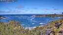 ./images/calvert/foggy-cove/20260606/foggy-cove20260606_111001M.jpg