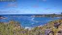./images/calvert/foggy-cove/20260606/foggy-cove20260606_111501M.jpg