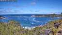 ./images/calvert/foggy-cove/20260606/foggy-cove20260606_112001M.jpg