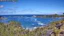 ./images/calvert/foggy-cove/20260606/foggy-cove20260606_112501M.jpg