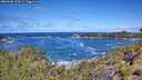 ./images/calvert/foggy-cove/20260606/foggy-cove20260606_113002M.jpg
