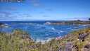 ./images/calvert/foggy-cove/20260606/foggy-cove20260606_113501M.jpg