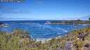 ./images/calvert/foggy-cove/20260606/foggy-cove20260606_115001M.jpg