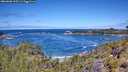 ./images/calvert/foggy-cove/20260606/foggy-cove20260606_115501M.jpg