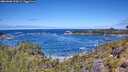 ./images/calvert/foggy-cove/20260606/foggy-cove20260606_120001M.jpg