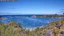 ./images/calvert/foggy-cove/20260606/foggy-cove20260606_120501M.jpg