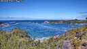 ./images/calvert/foggy-cove/20260606/foggy-cove20260606_121001M.jpg