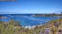 ./images/calvert/foggy-cove/20260606/foggy-cove20260606_121501M.jpg