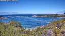 ./images/calvert/foggy-cove/20260606/foggy-cove20260606_122001M.jpg