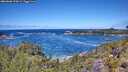 ./images/calvert/foggy-cove/20260606/foggy-cove20260606_123002M.jpg