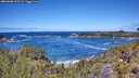 ./images/calvert/foggy-cove/20260606/foggy-cove20260606_123501M.jpg