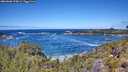 ./images/calvert/foggy-cove/20260606/foggy-cove20260606_124001M.jpg