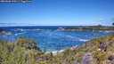 ./images/calvert/foggy-cove/20260606/foggy-cove20260606_124501M.jpg