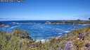 ./images/calvert/foggy-cove/20260606/foggy-cove20260606_125001M.jpg