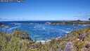 ./images/calvert/foggy-cove/20260606/foggy-cove20260606_125501M.jpg